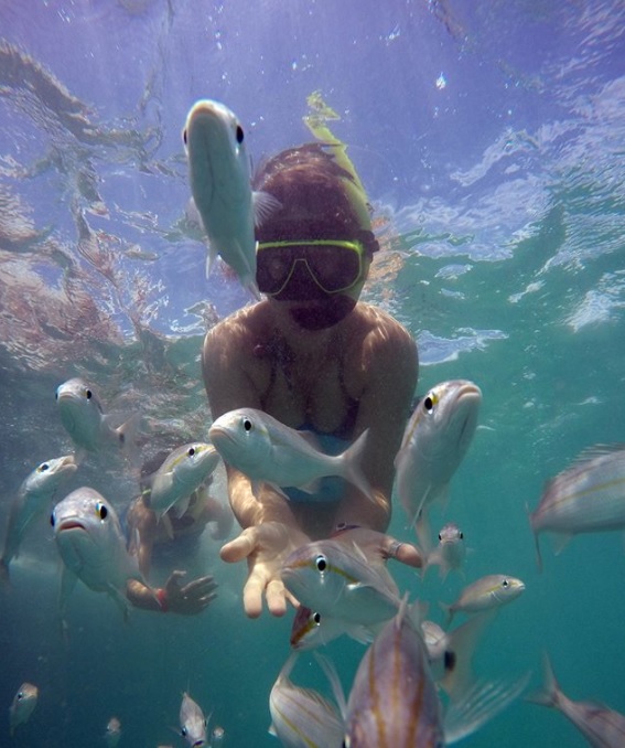 Instagram | Francisca Imboden