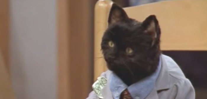 Revelan cómo será el aspecto del gato Salem en remake de ‘Sabrina, la bruja adolescente’