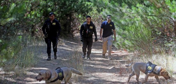 Caso Emmelyn: los tatuajes que ayudarían a identificar al presunto secuestrador