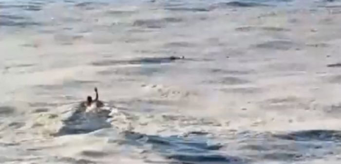 No lo pensó dos veces: Carabinero rescató a hombre que se estaba ahogando en el mar