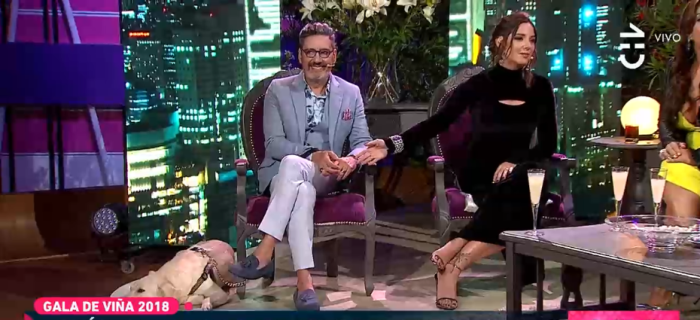 Maldita Moda: comentario de Kel Calderón contra perrita de Nicanor Bravo indignó en redes