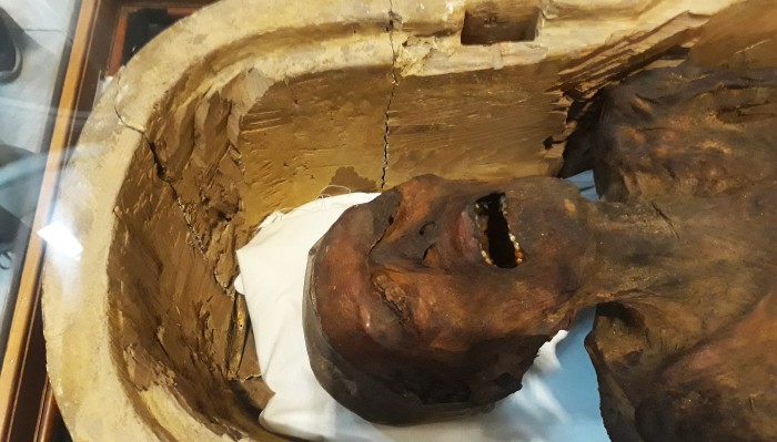 Se reveló el origen: la escalofriante verdad detrás del misterio de 'la momia que grita'