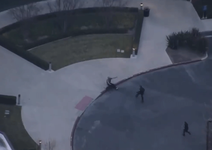 Perro policial protagonizó increíble persecución contra ladrón: la escena se volvió viral