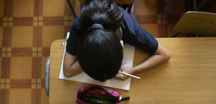 La medida del Mineduc que busca eliminar la 