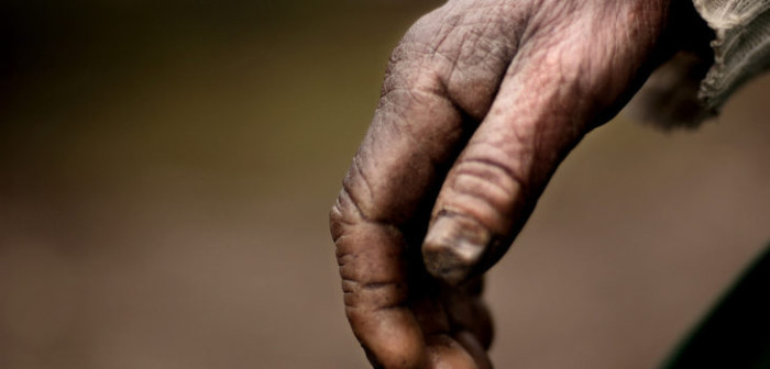 Confirman muerte de 9 ancianos por COVID-19 al interior de hogar en región de Valparaíso