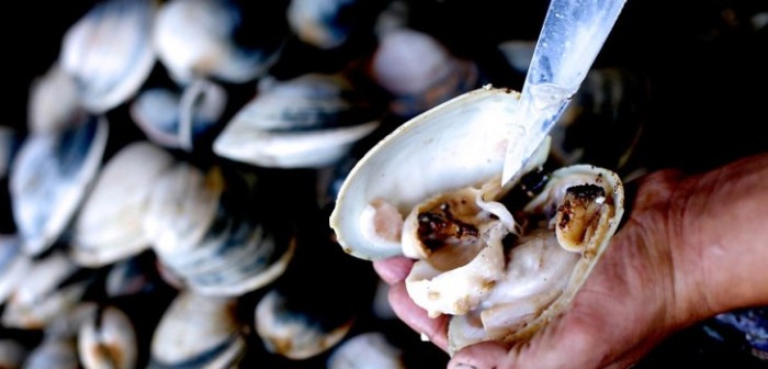 Precaución: Minsal ordenó retiro de almejas frescas con marea roja en Jumbo y Tottus