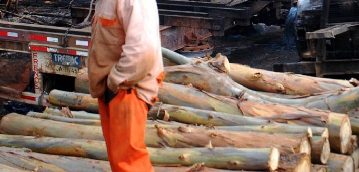 Dramático: trabajadores denunciaron que fueron secuestrados y amarrados por encapuchados