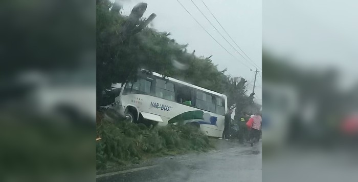 Debido a la lluvia: al menos un muerto y 8 heridos dejó trágico accidente en La Araucanía