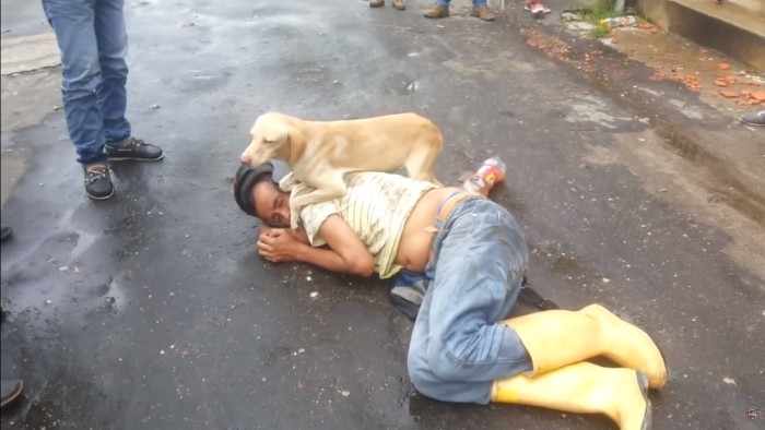 Hombre se quedó dormido en la calle y fue protegido por un perro: escena se volvió viral