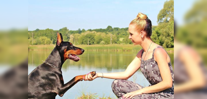 ¿Pensabas que un año humano es igual a siete de un perro? Estudio reveló que es falso