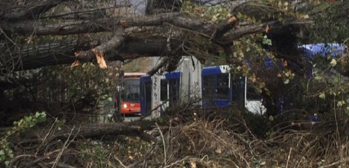 Sistema frontal: los impactantes registros que ha dejado el fuerte viento en Santiago