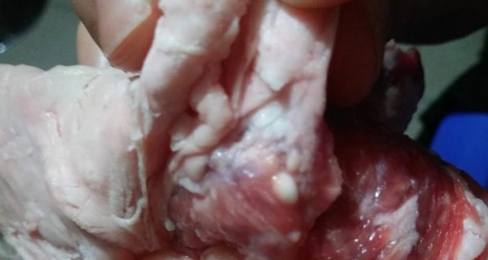 Una pesadilla: cliente denunció presencia de larvas en carne que compró en supermercado