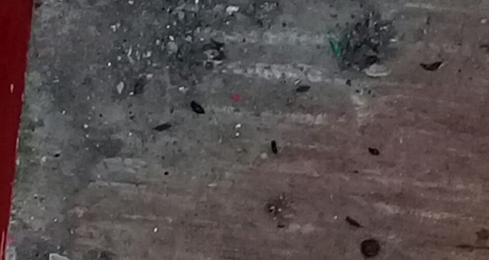 Escuela de Puerto Montt fue cerrada por insalubridad: había fecas de ratón