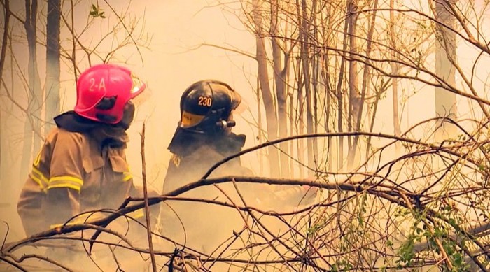 Televidentes reclaman horario de 'Efecto Mariposa': exigen que vaya en bloque prime