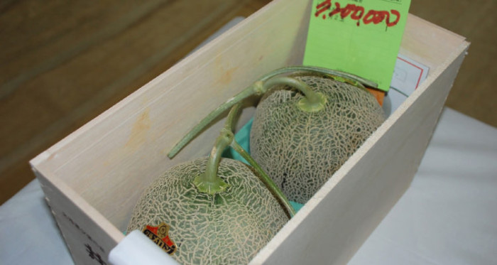 ¿Encuentras caras las paltas?: melones fueron vendidos por 18 millones de pesos en Japón
