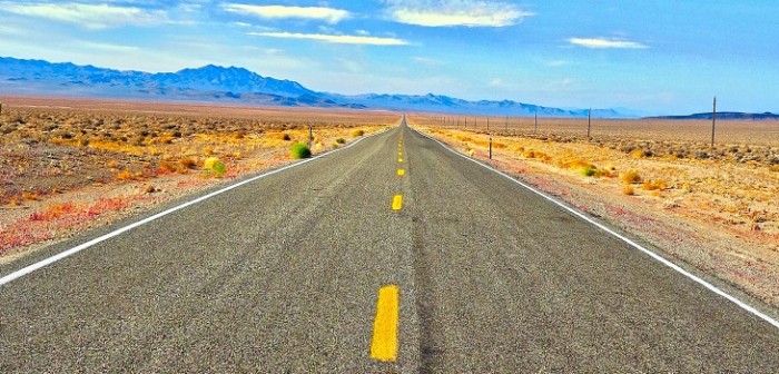 Pintaron carretera en norte de Chile y no se dieron cuenta que había un perro muerto