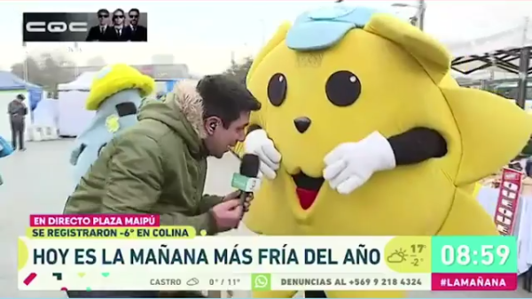 Despacho de Queraltó para La Mañana resultó en gracioso momento por culpa de unos perros