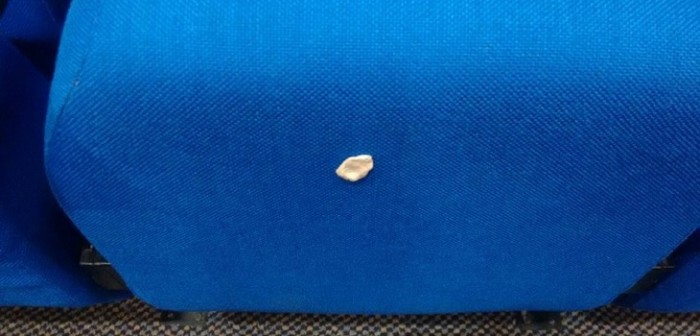 Inocente niño 'olvidó' un chicle en butaca del teatro de Quillota y volvió a disculparse