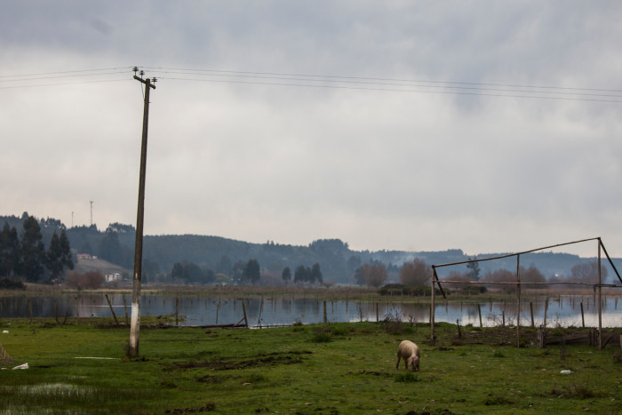 Tras 5 días desaparecido: hombre fue hallado muerto en un pozo en Nueva Imperial