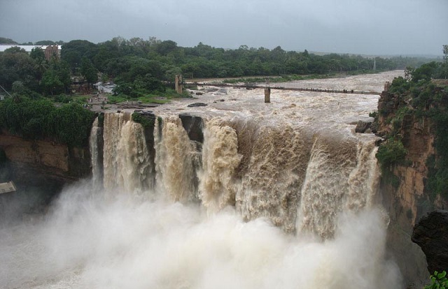 Wikimedia Commons (cc)