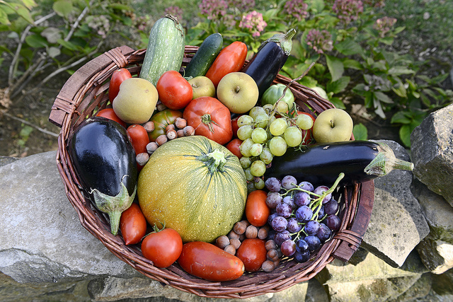 ¿Estás comiendo bien? Los infaltables en tu dieta para mantenerte en forma según tu edad