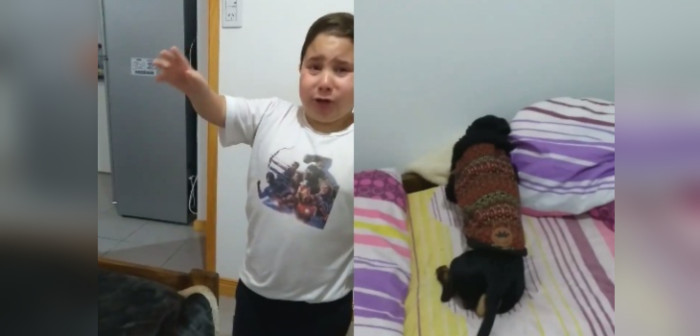El desconsolado (y tierno) argumento de niño para adoptar perrita que encontró en la calle