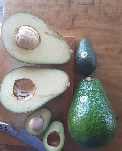 Instagram | The Dragon Fruit 