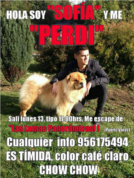 Steffi Méndez | Instagram