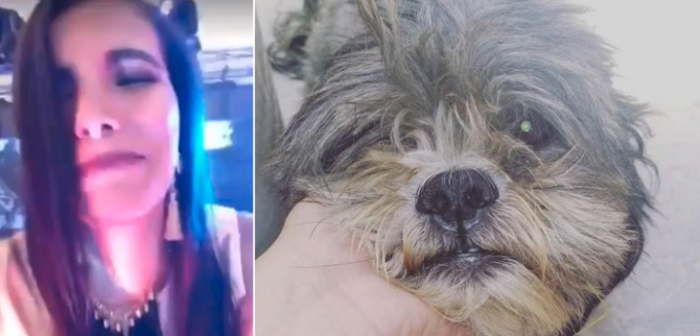 Presentadora mexicana se ganó el repudio en redes tras reírse por atropellar a un perro