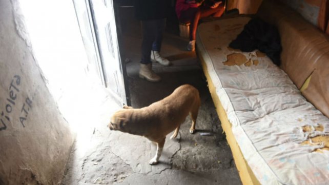 La Capital | Argentina