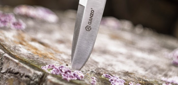 Nueva tragedia enluta a Argentina: joven mató de una puñalada al corazón a su novio y huyó