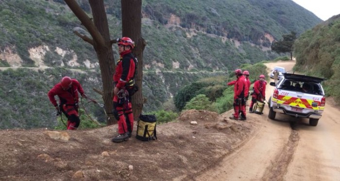 Labores de búsqueda | Grimp