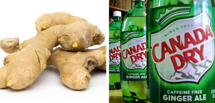 Clienta demandó a conocida marca de bebida por supuesto 'engaño': no tenía jengibre real