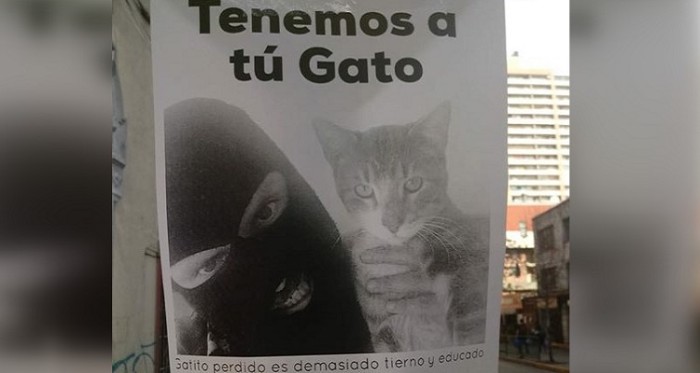 El afiche de 