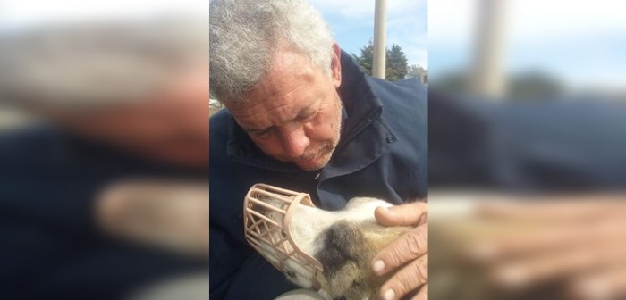 No pudo con la pena: hombre murió de un infarto tras ver video de brutal ataque a su perro