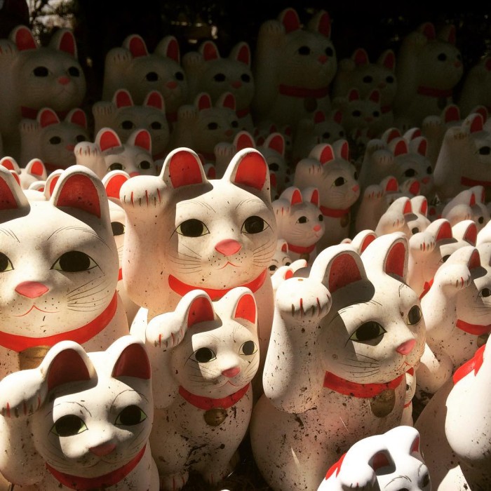 Gotokuji: el asombroso templo de Tokio donde le rinden culto a los gatos de la suerte
