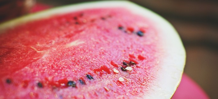 Perros que comen sandía son furor en la web: ¿Es perjudicial para su salud?