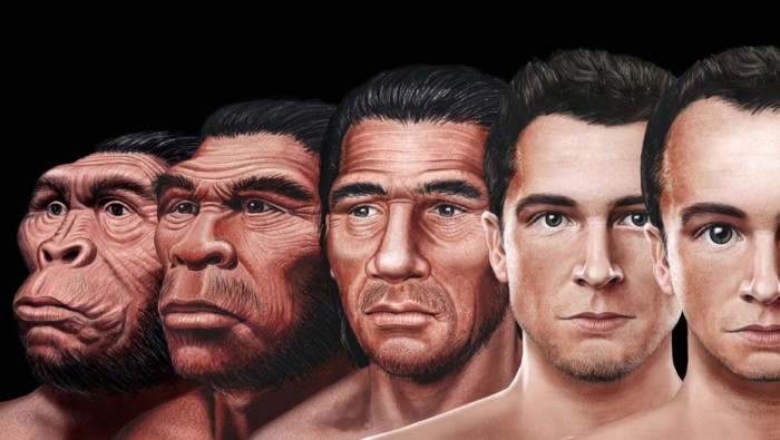 Así luciría el rostro humano en 100 mil años más según científicos