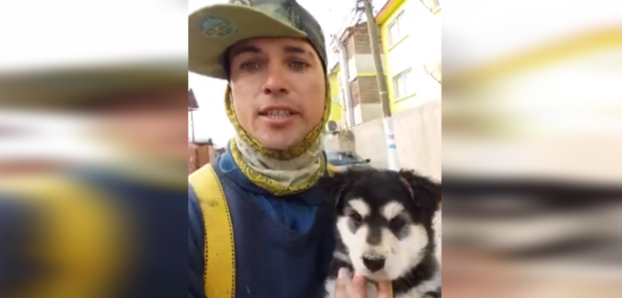 Fritanga despidió a popular perrito 'Choro Galaxia' en emotiva ceremonia: fue atropellado
