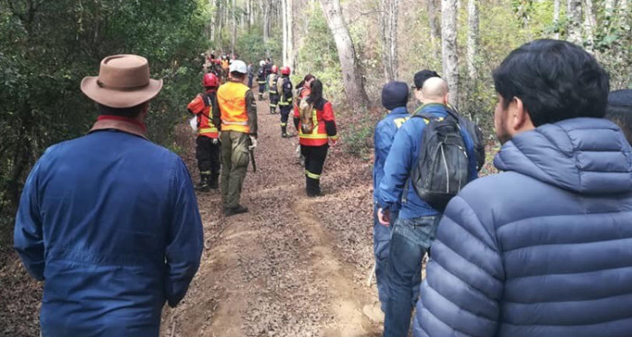 Niña de 1 año y 8 meses pasó noche en el bosque: se perdió mientras su madre trabajaba