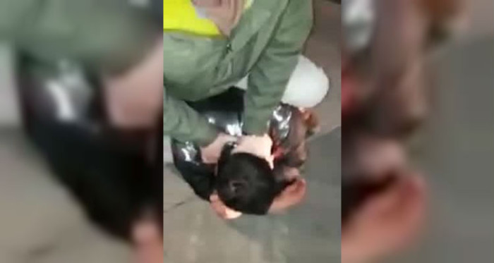 Conductor de inDriver frustró asalto: llevó a sujeto colgando en el auto para buscar ayuda