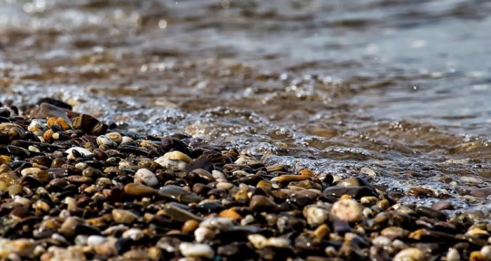 Fue a lavar ropa y no volvió más: encuentran a joven de 20 años muerta sobre un estero