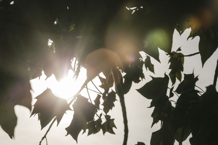 ¿Llegó el calor? Así se vienen las temperaturas para estas tardes de primavera