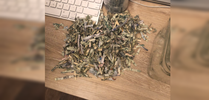 Para aplaudirlo: niño destruyó dinero ahorrado por sus padres durante dos años