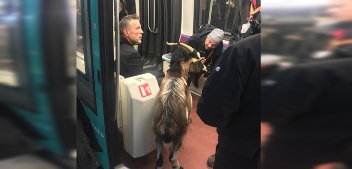 Insólito robo: hombre 