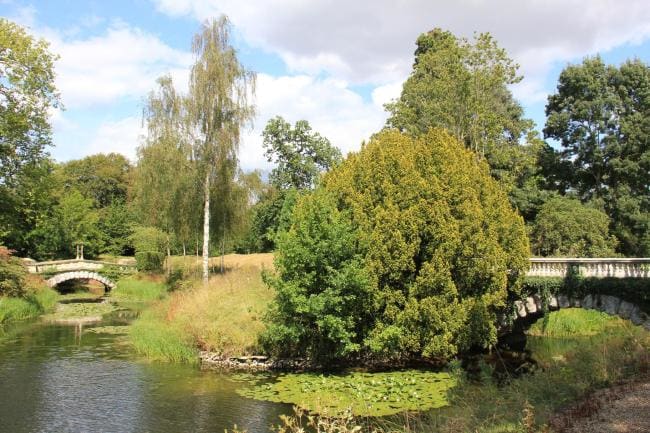 Karen Roe (cc) | Flickr