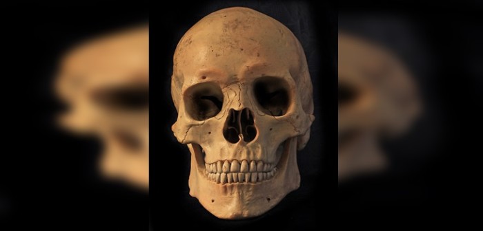 Hombre halló osamentas en su sótano: podrían ser de su padre desaparecido hace 57 años