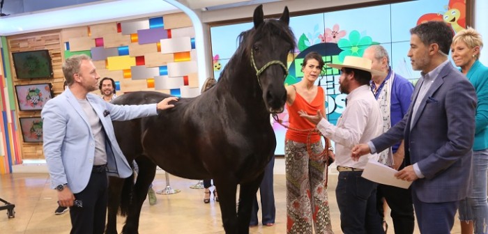 Bienvenidos llevó a un caballo al set y animal se defecó: momento desató risas en el panel