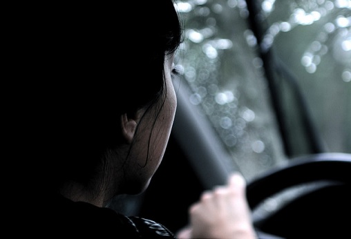 Niño de 8 años arrebató el volante a su mamá y condujo por la carretera por especial razón