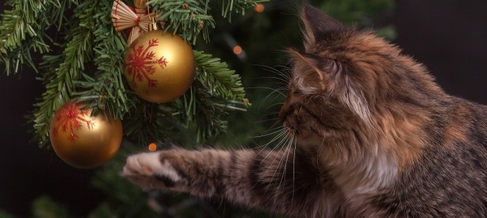 Fin al problema: diseñan árbol de Navidad a prueba de gatos y sus travesuras